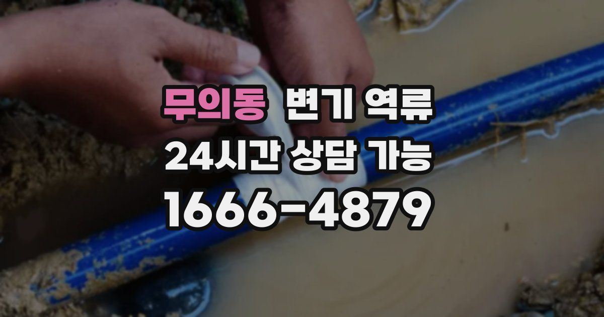 무의동 변기 역류