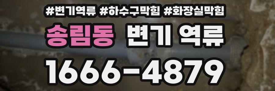 송림동 변기 역류