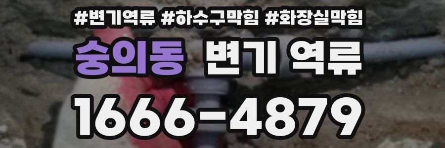 숭의동 변기 역류