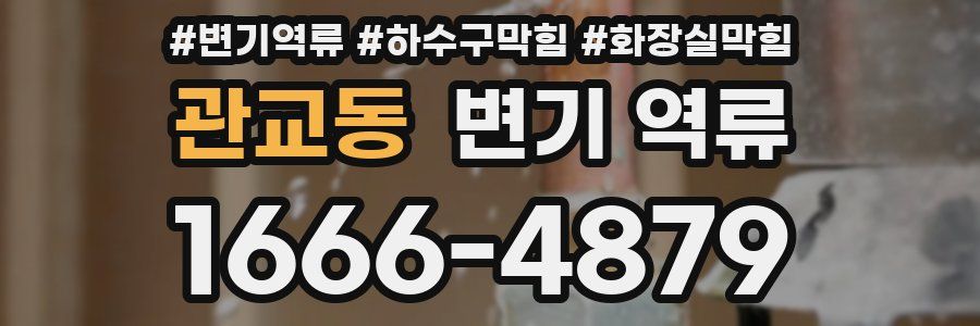 관교동 변기 역류