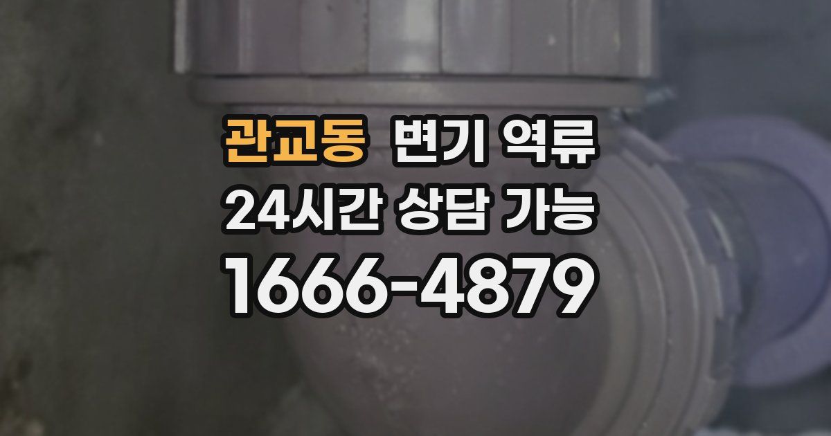 관교동 변기 역류