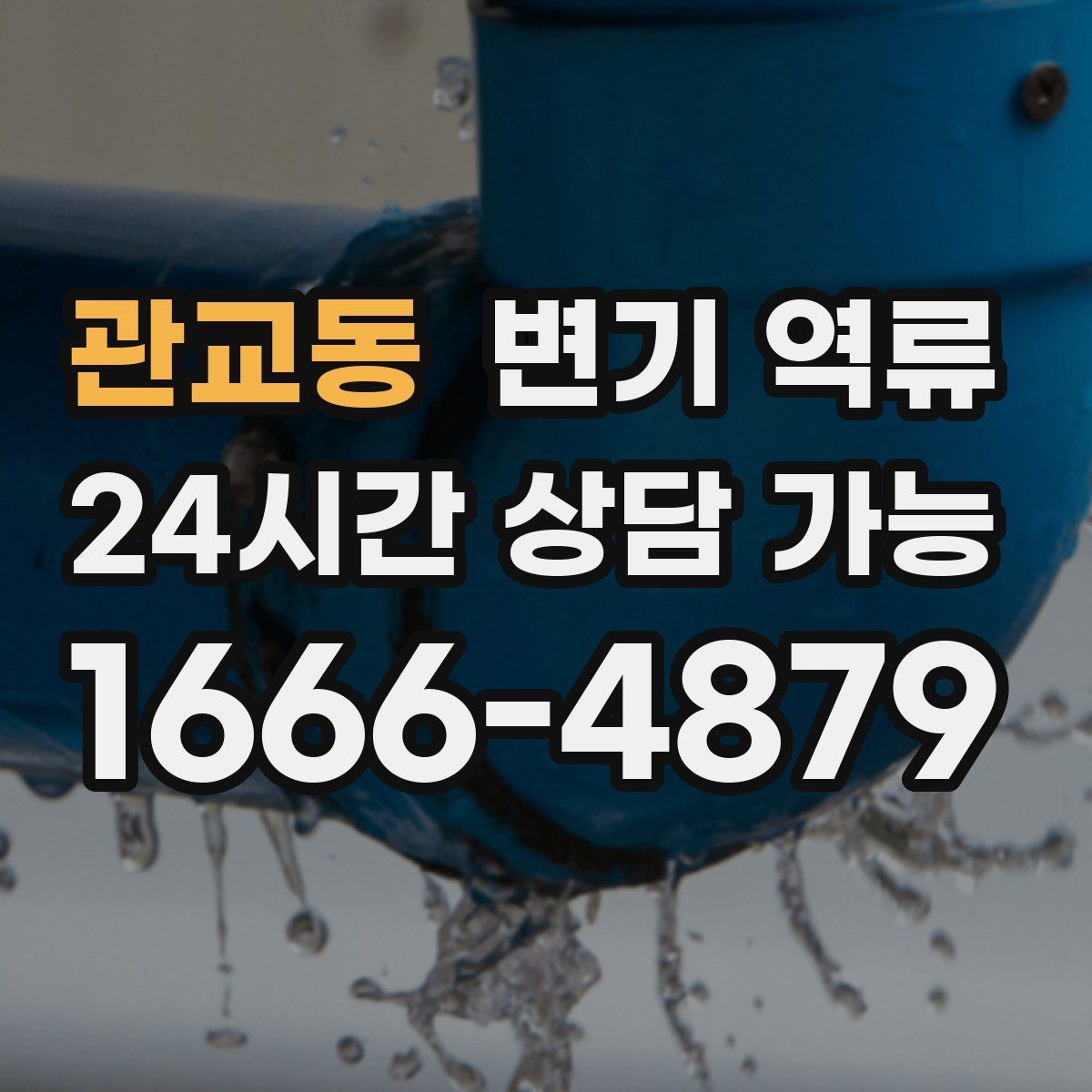 관교동 변기 역류