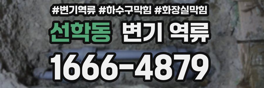 선학동 변기 역류
