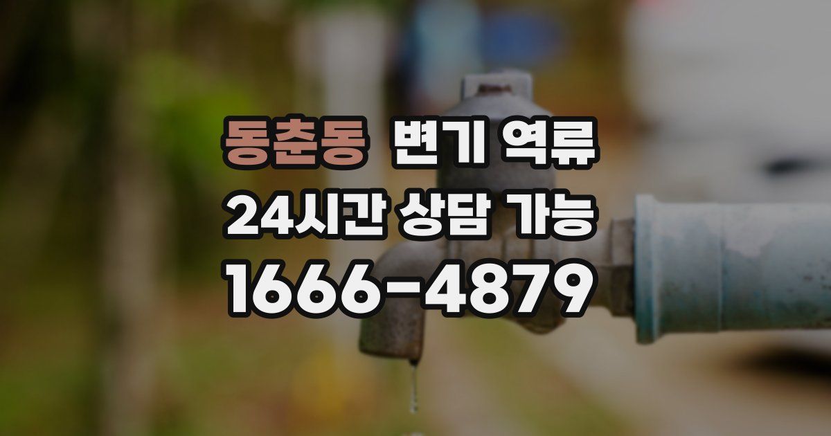 동춘동 변기 역류