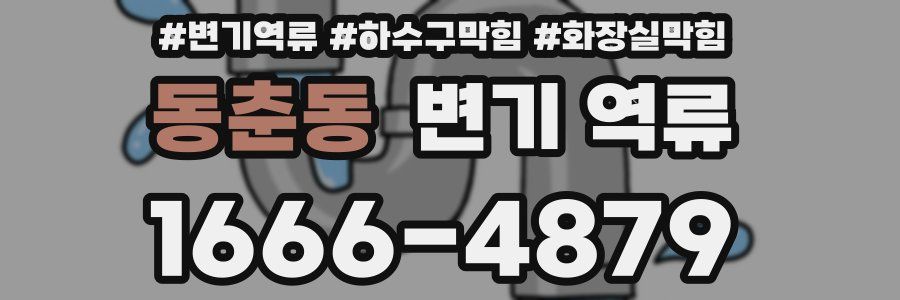 동춘동 변기 역류