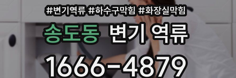 송도동 변기 역류