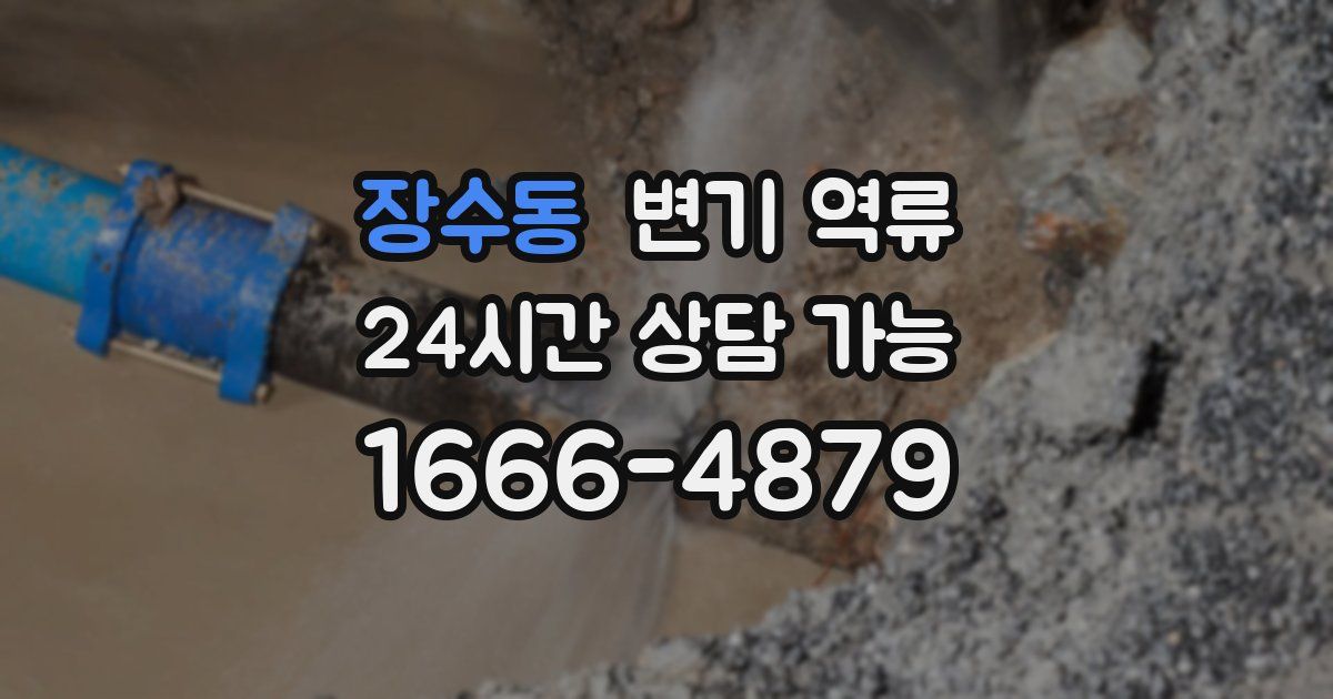 장수동 변기 역류