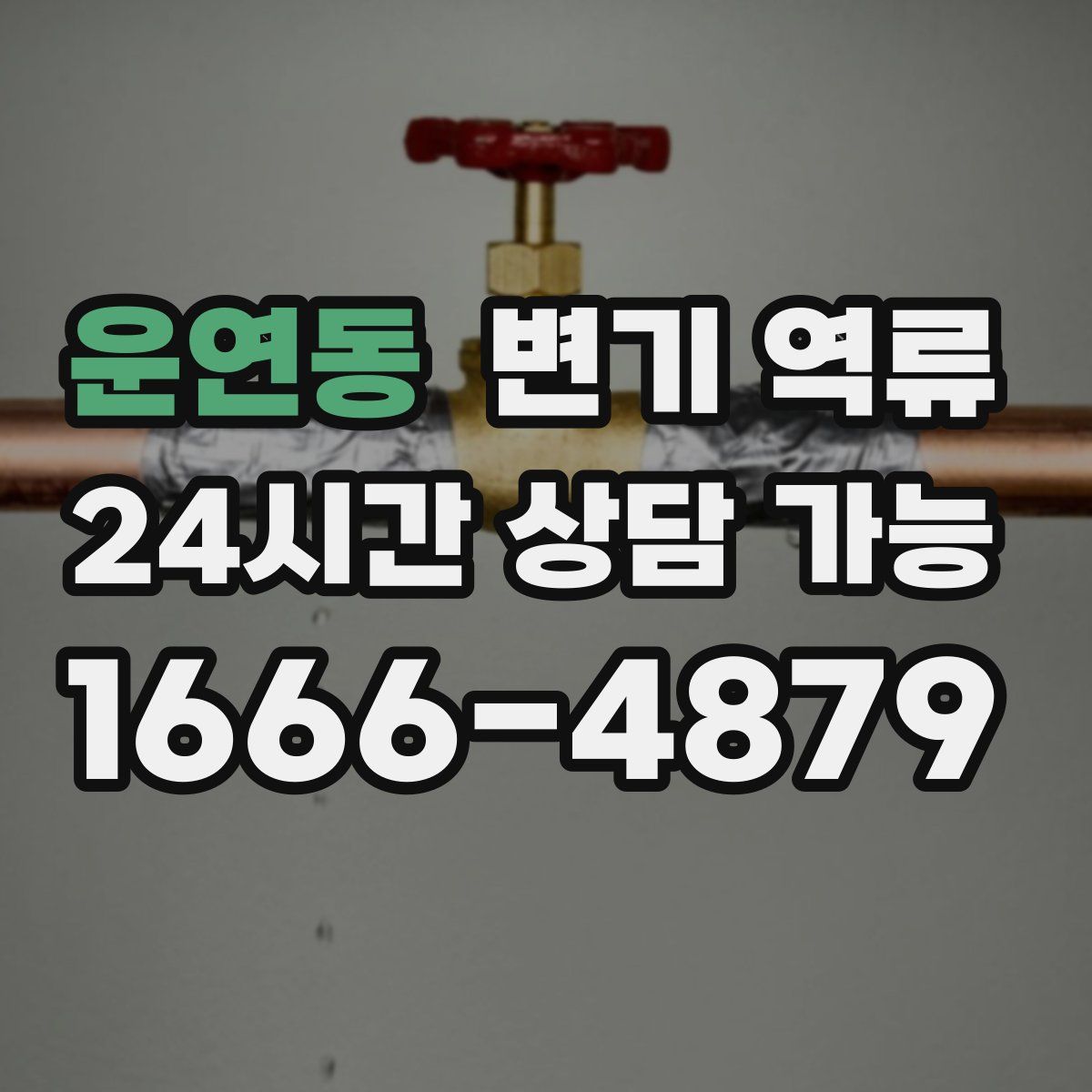 운연동 변기 역류