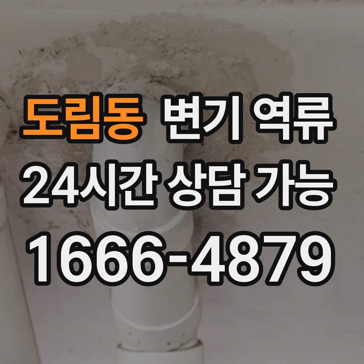 도림동 변기 역류