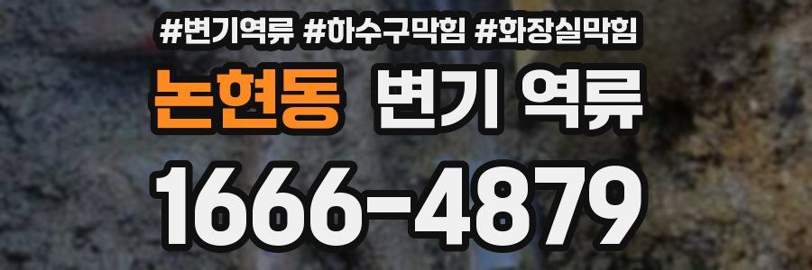 논현동 변기 역류