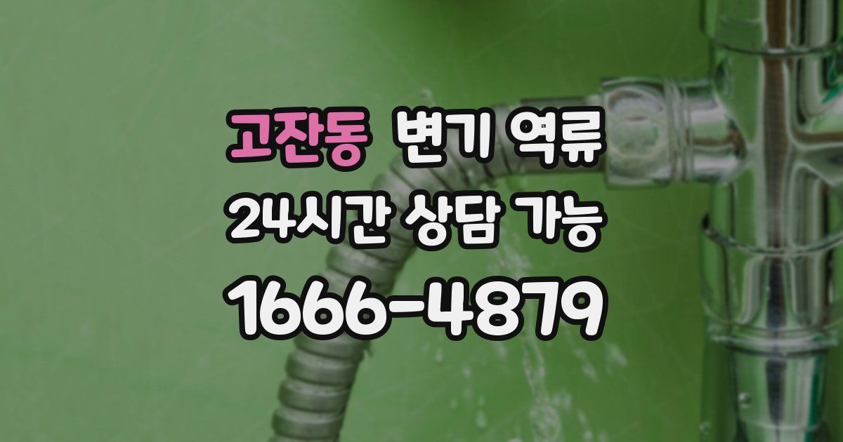 고잔동 변기 역류