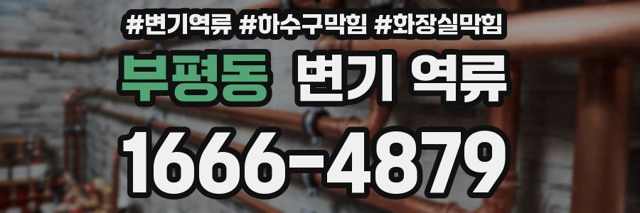 부평동 변기 역류