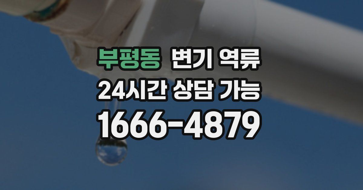 부평동 변기 역류