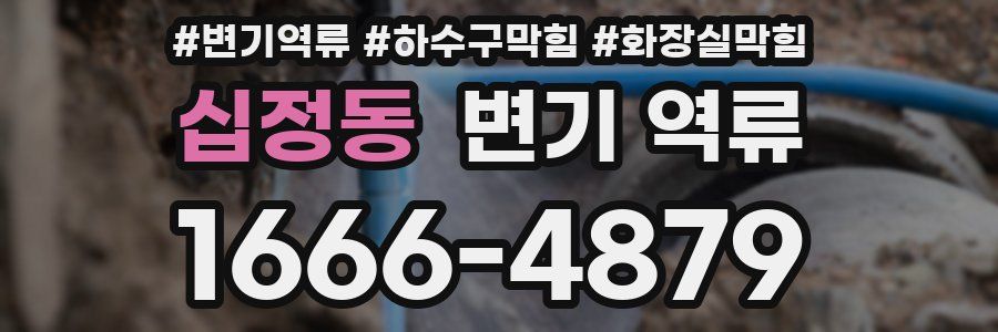 십정동 변기 역류