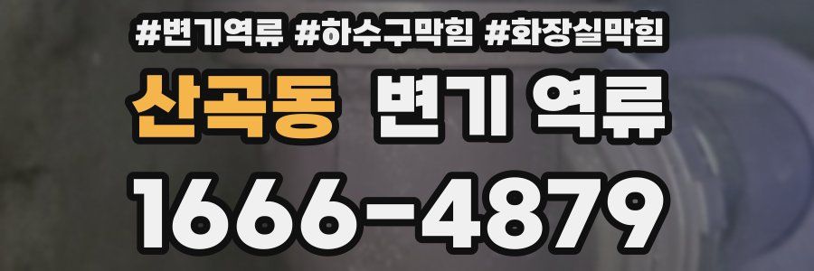 산곡동 변기 역류