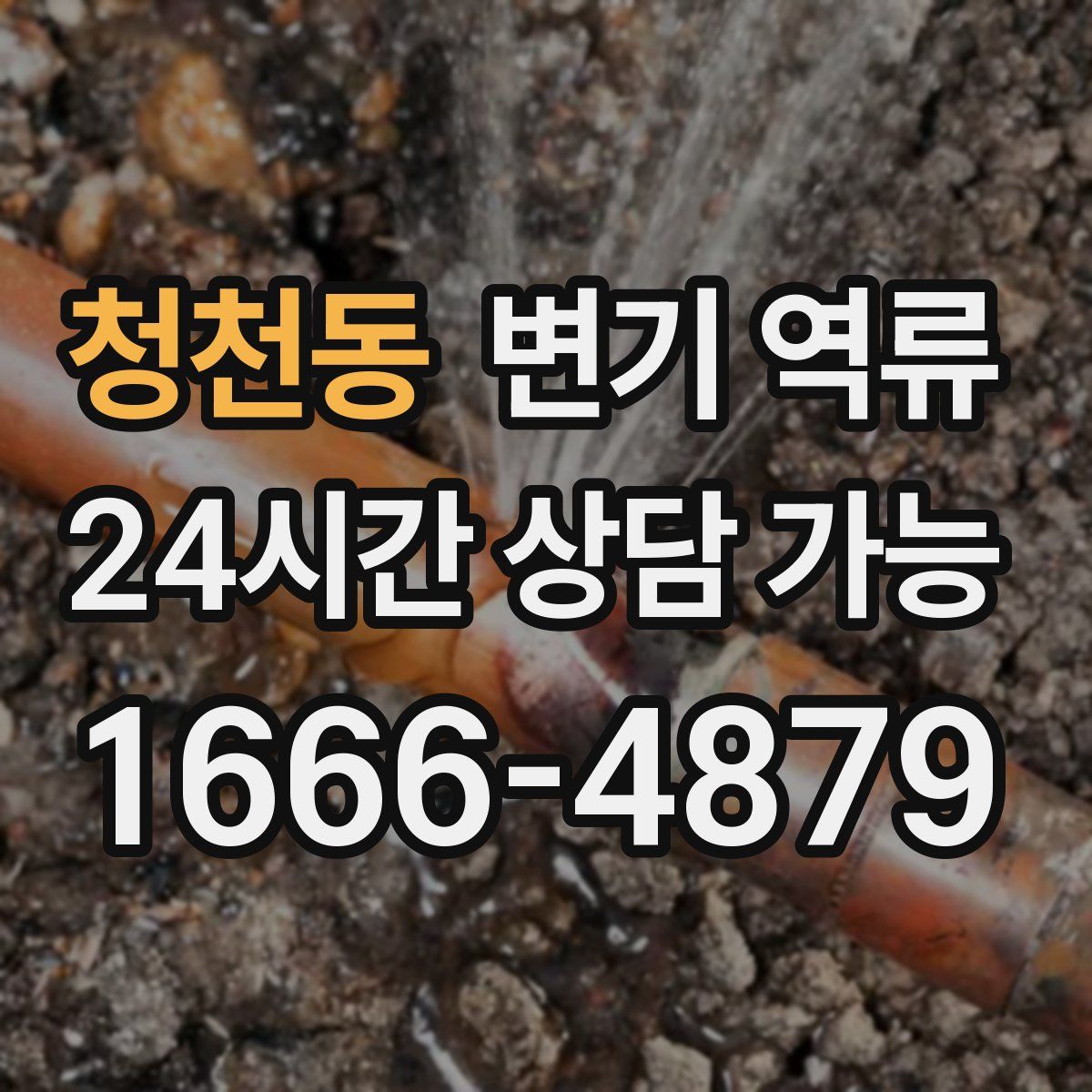 청천동 변기 역류