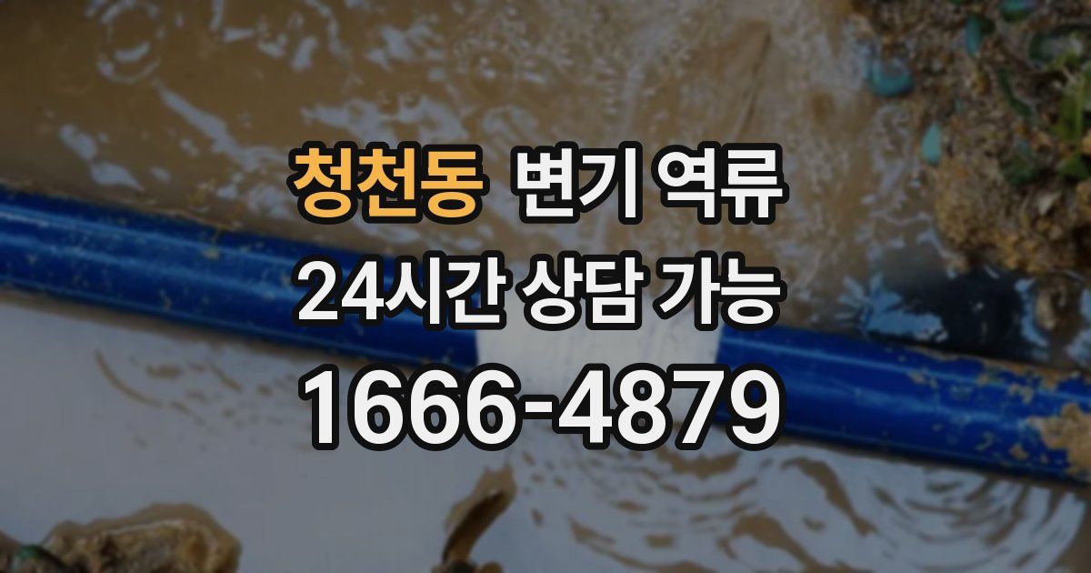 청천동 변기 역류