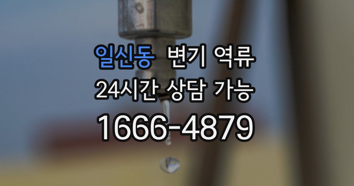 일신동 변기 역류