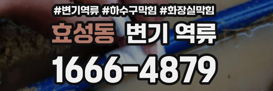 효성동 변기 역류