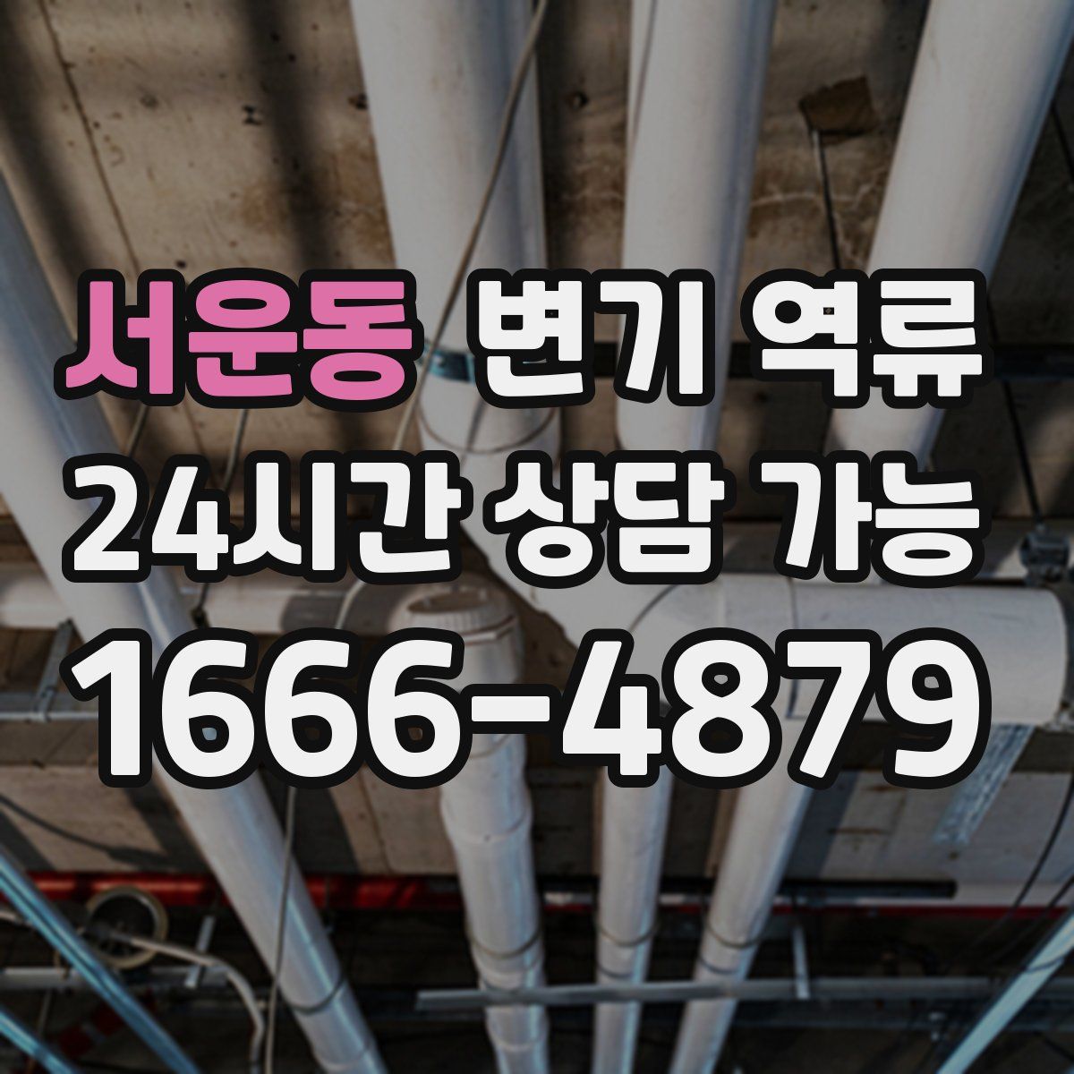 서운동 변기 역류