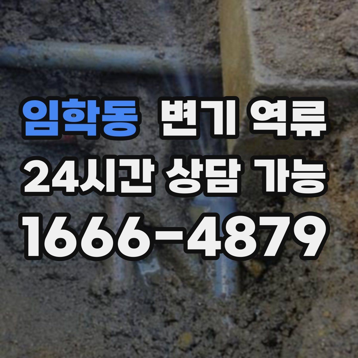 임학동 변기 역류 장기간 외출 후 악취·역류가 생길 수 있을까