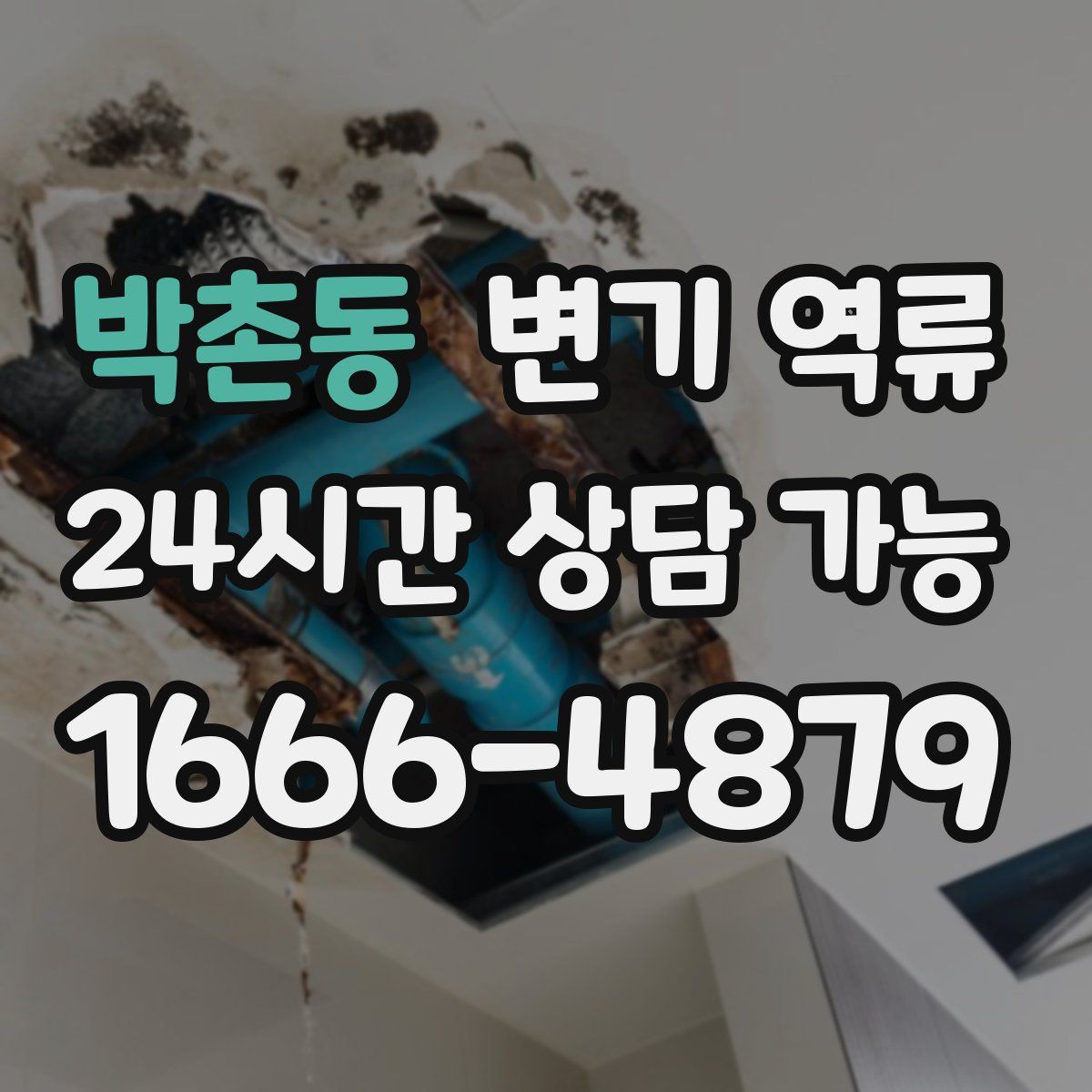 박촌동 변기 역류