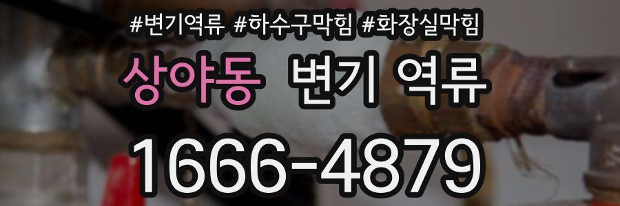 상야동 변기 역류