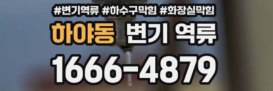 하야동 변기 역류