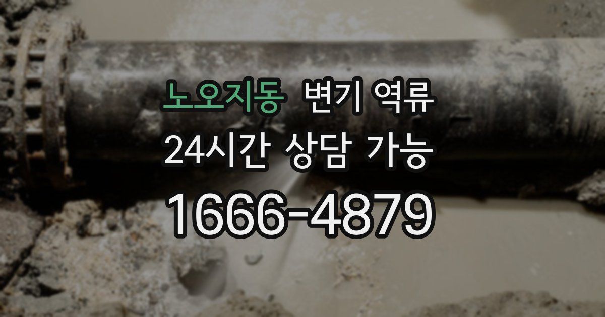 노오지동 변기 역류