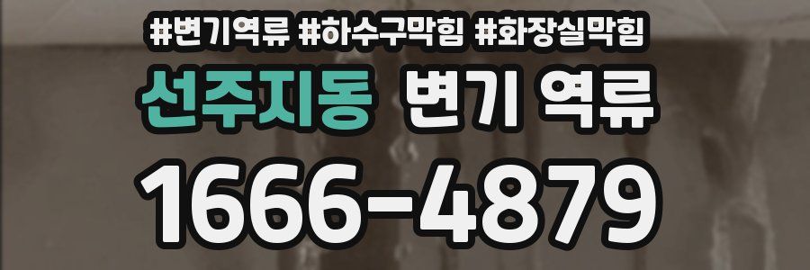 선주지동 변기 역류