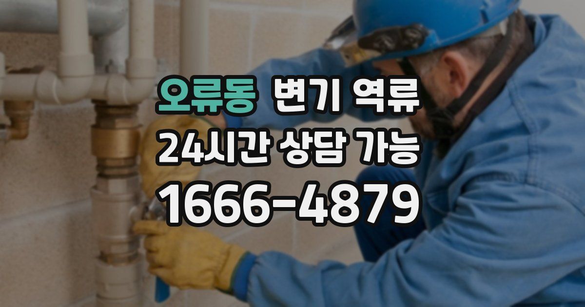 오류동 변기 역류