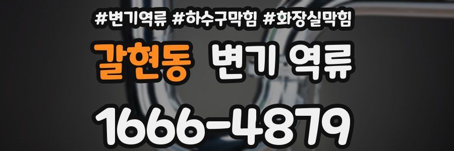 갈현동 변기 역류