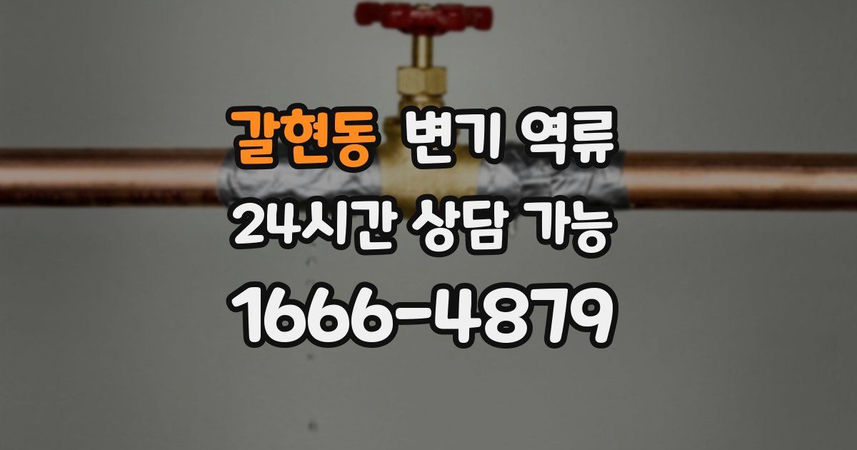 갈현동 변기 역류