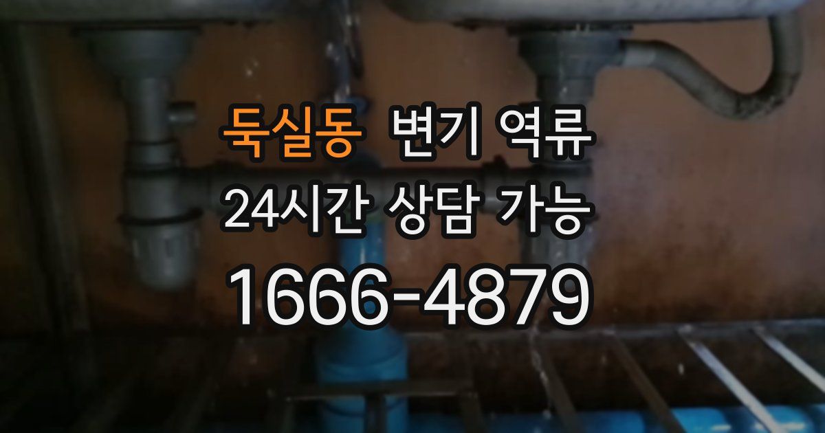 둑실동 변기 역류