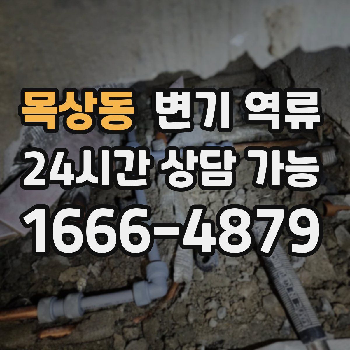 목상동 변기 역류