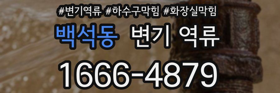 백석동 변기 역류