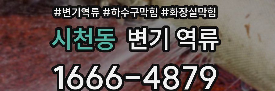 시천동 변기 역류