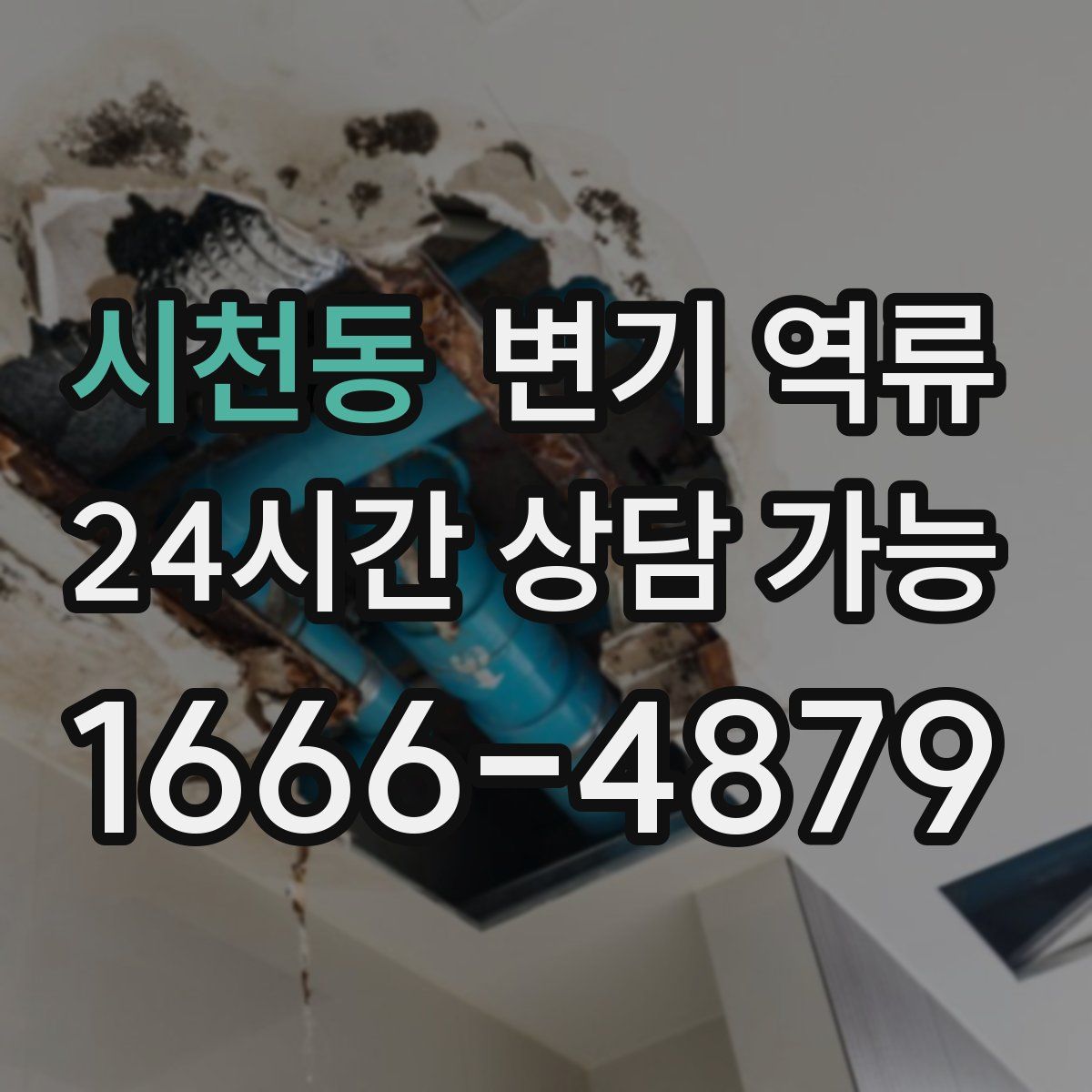 시천동 변기 역류