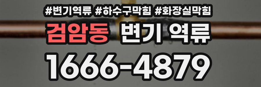 검암동 변기 역류