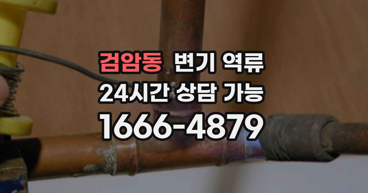 검암동 변기 역류