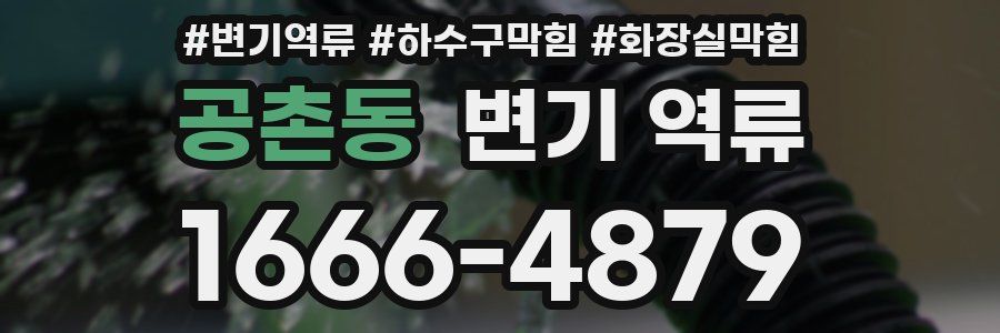 공촌동 변기 역류
