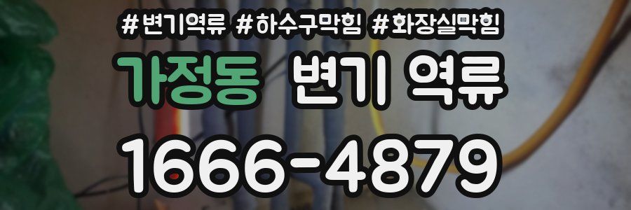 가정동 변기 역류