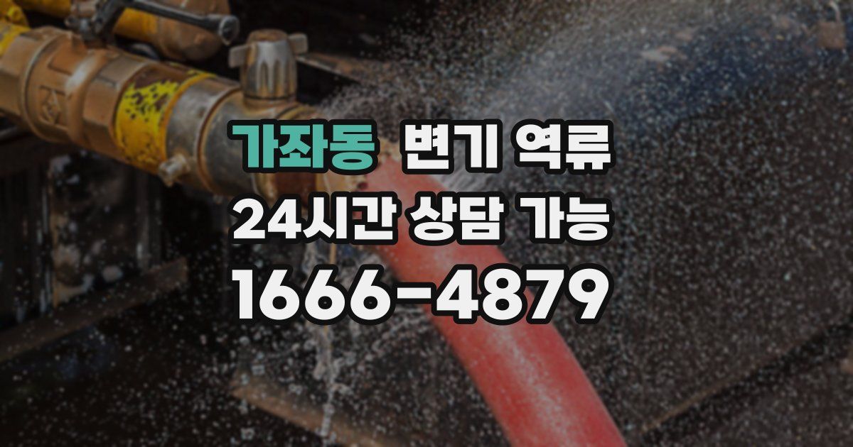 가좌동 변기 역류