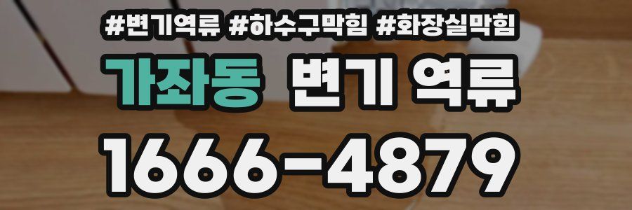 가좌동 변기 역류