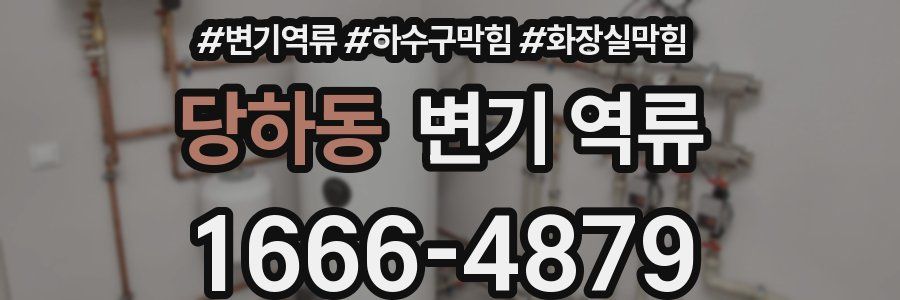 당하동 변기 역류