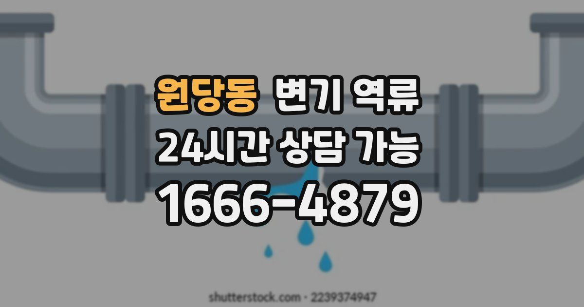 원당동 변기 역류