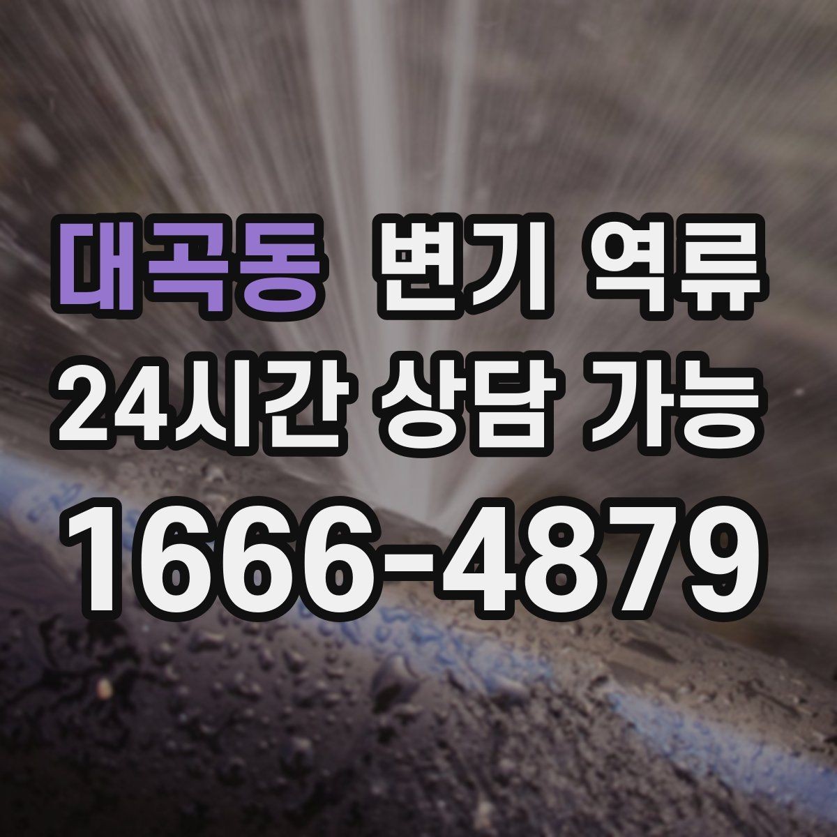 대곡동 변기 역류 변기 물이 출렁거리면 배관이 막힌 신호일까