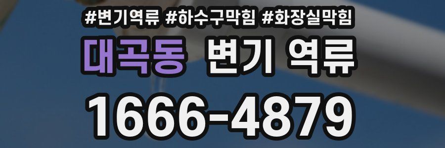 대곡동 변기 역류