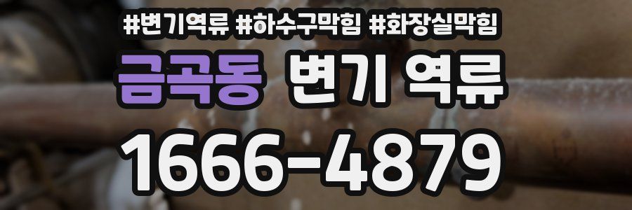 금곡동 변기 역류