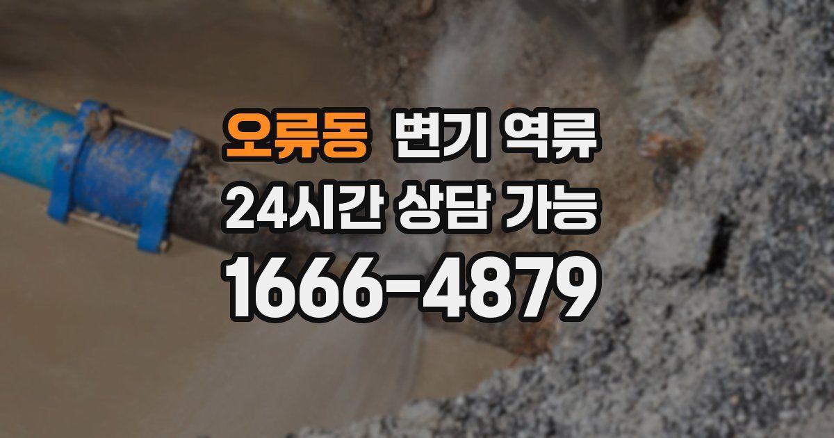 오류동 변기 역류